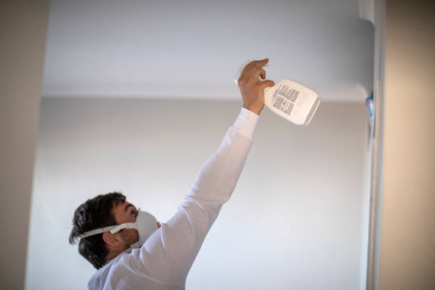 Best Post-Flood Mold Remediation in Morrisville, NY